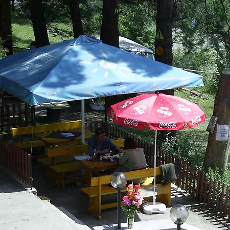 Family Shisharka باتاك