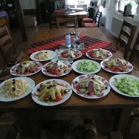 Πανσιόν Family Shisharka 4*
